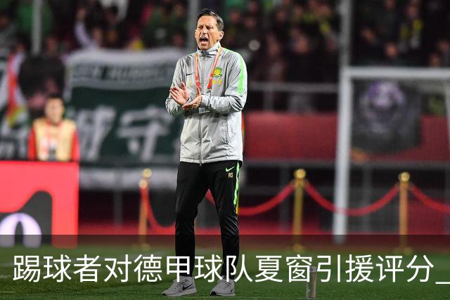 踢球者对德甲球队夏窗引援评分 拜仁第一多特第十